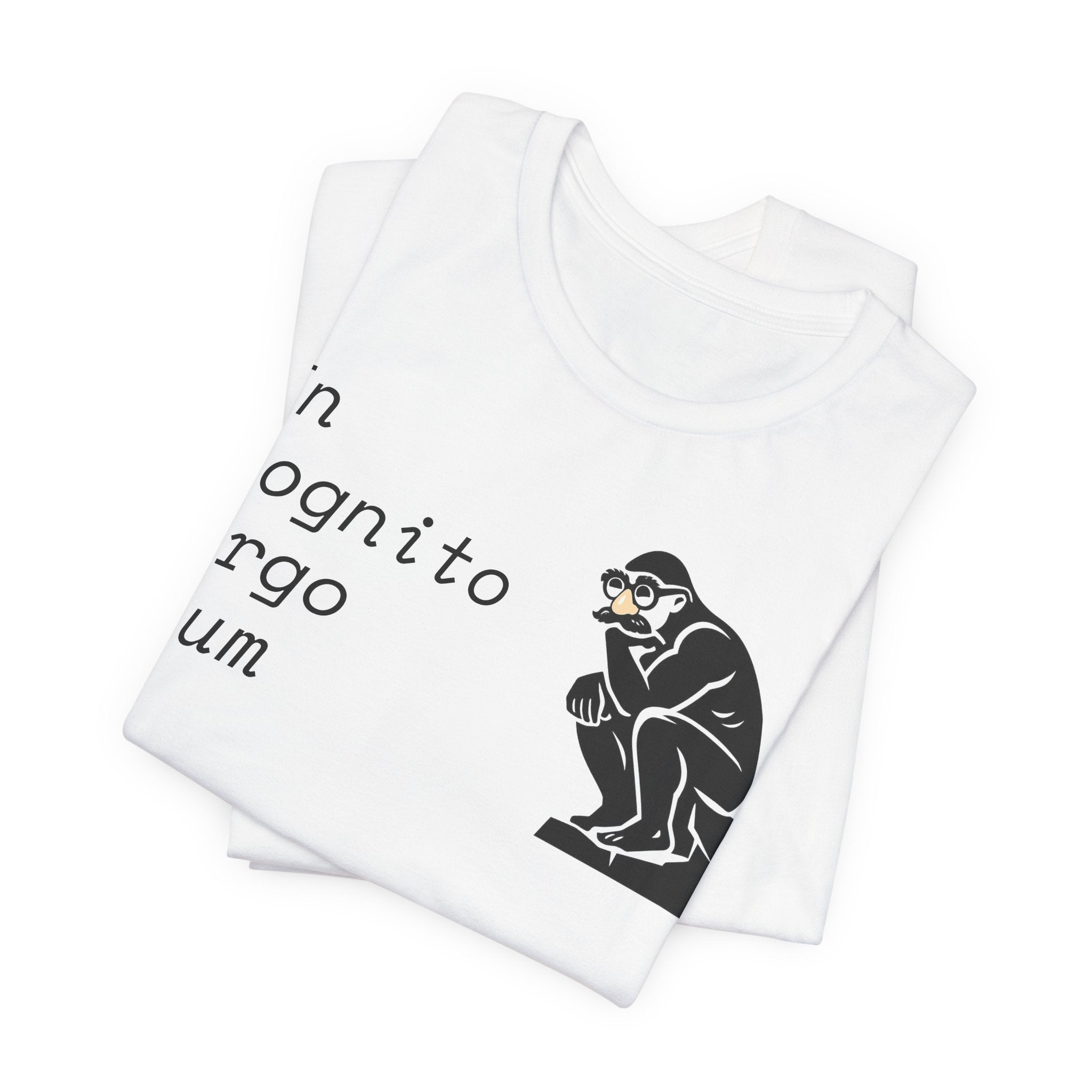 In Cognito Ergo Sum – Minimalist Philosophy T-Shirt