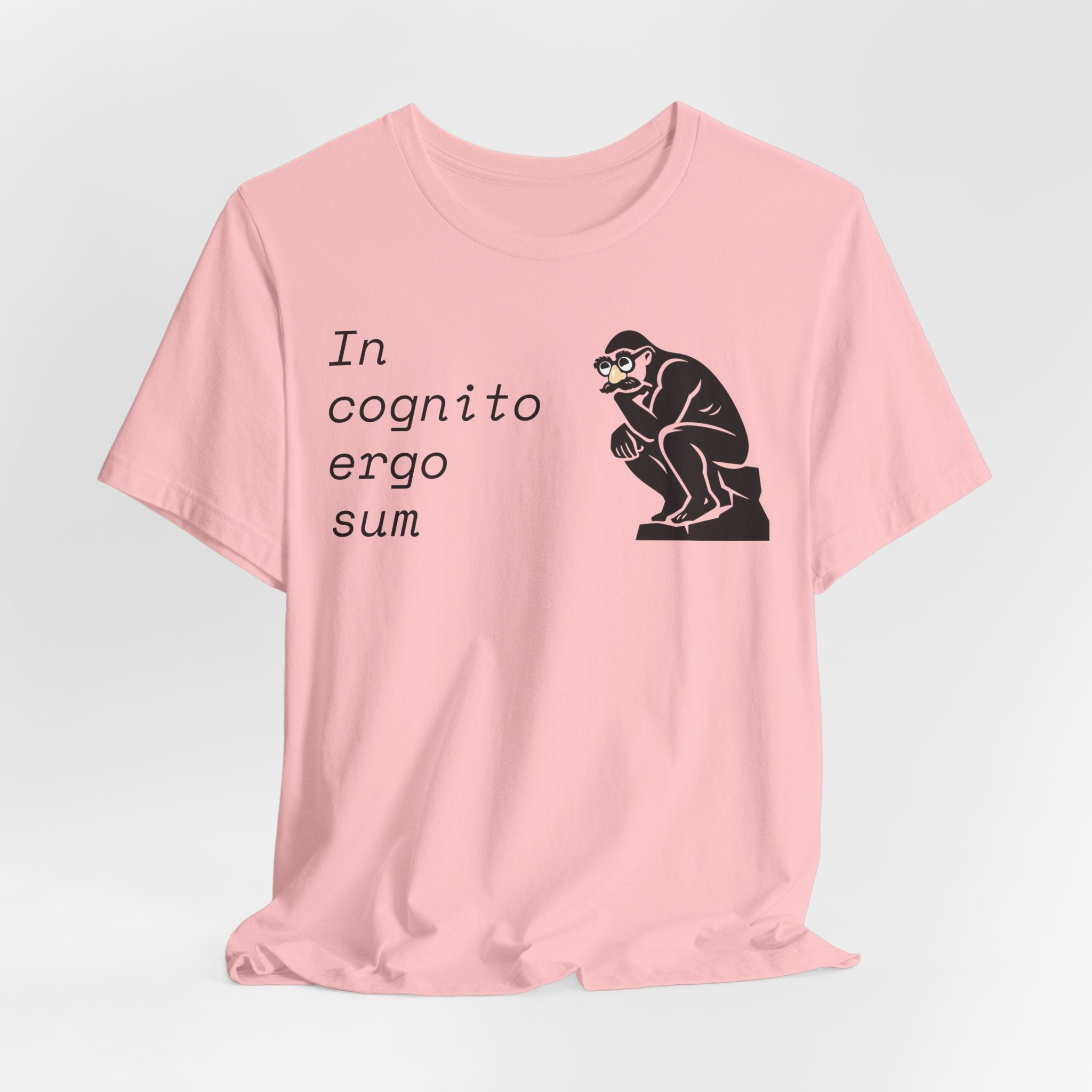In Cognito Ergo Sum – Minimalist Philosophy T-Shirt