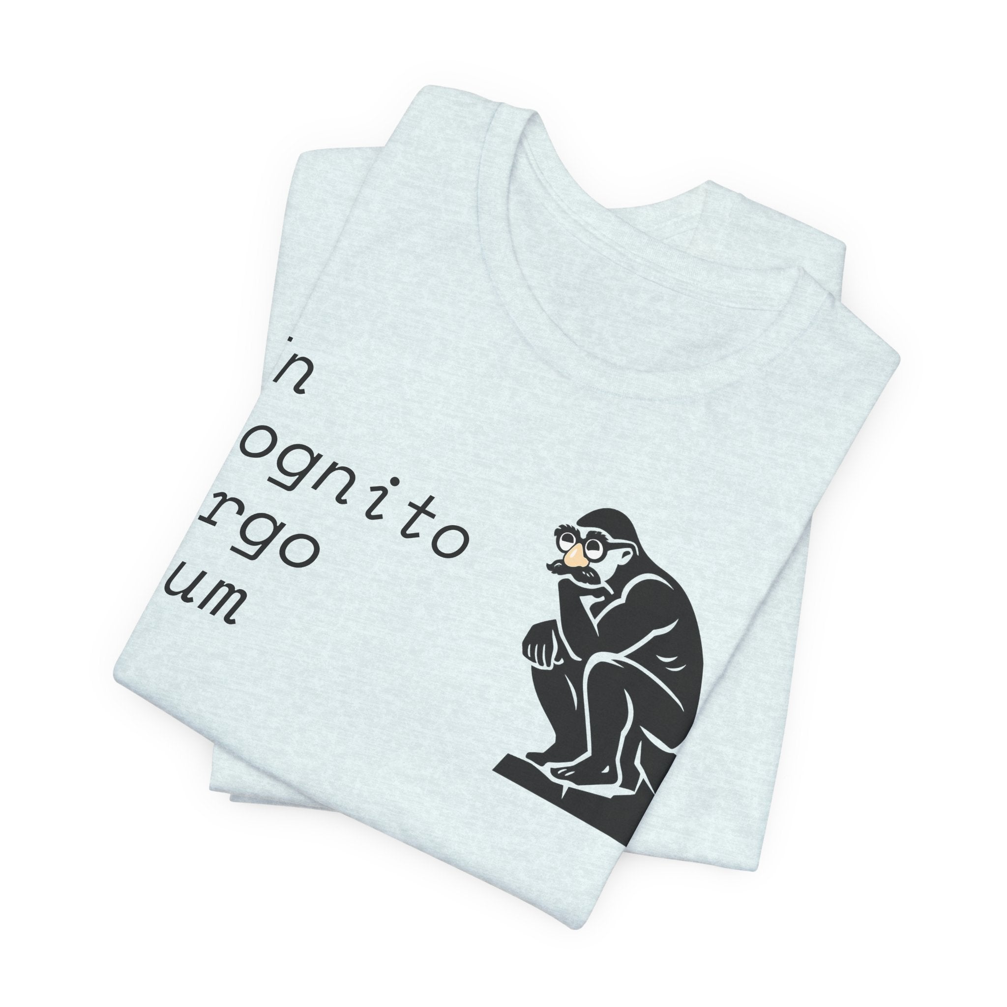 In Cognito Ergo Sum – Minimalist Philosophy T-Shirt