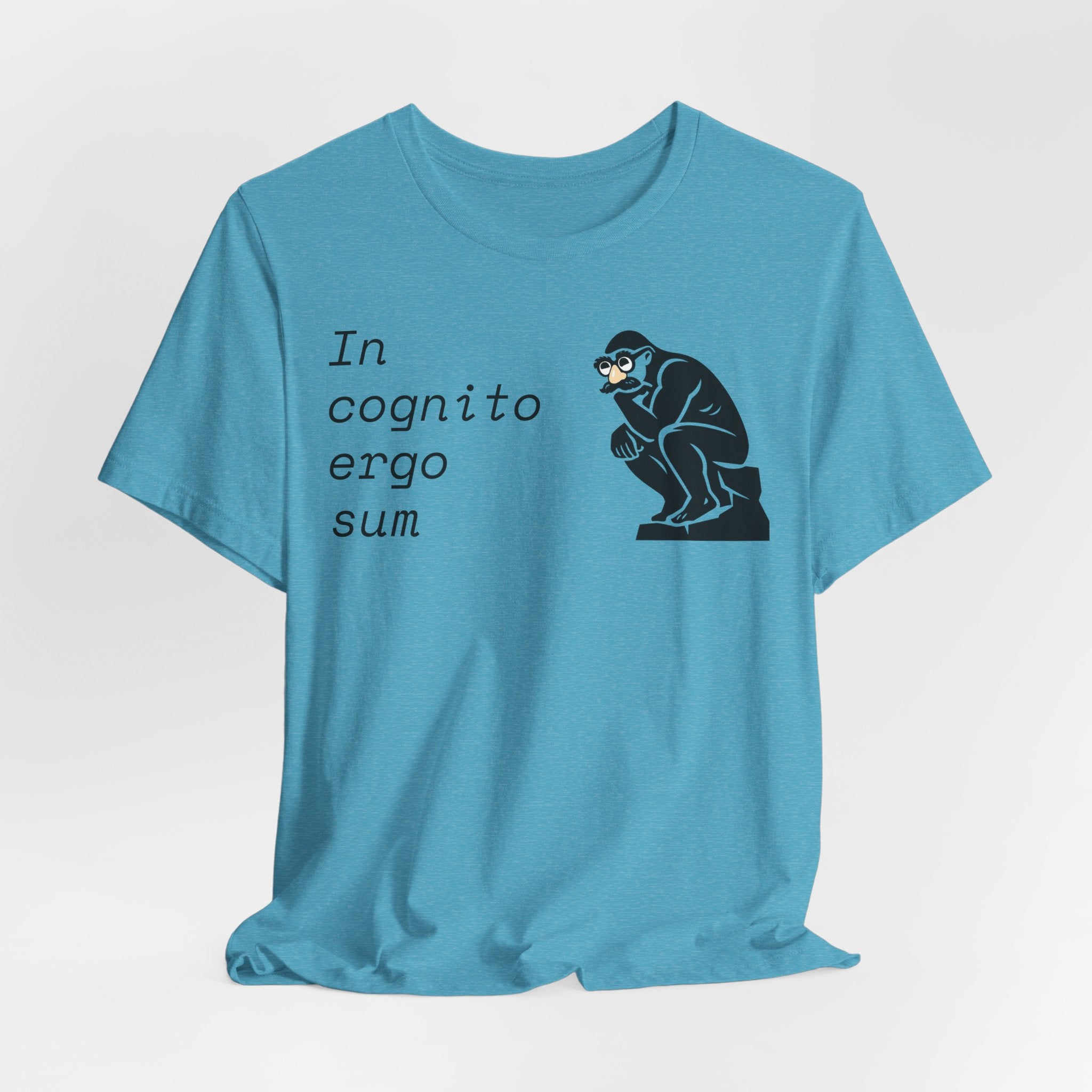In Cognito Ergo Sum – Minimalist Philosophy T-Shirt