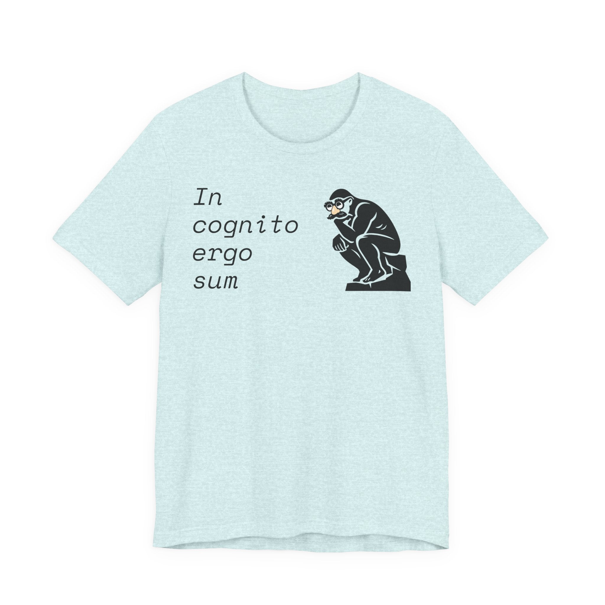 In Cognito Ergo Sum – Minimalist Philosophy T-Shirt