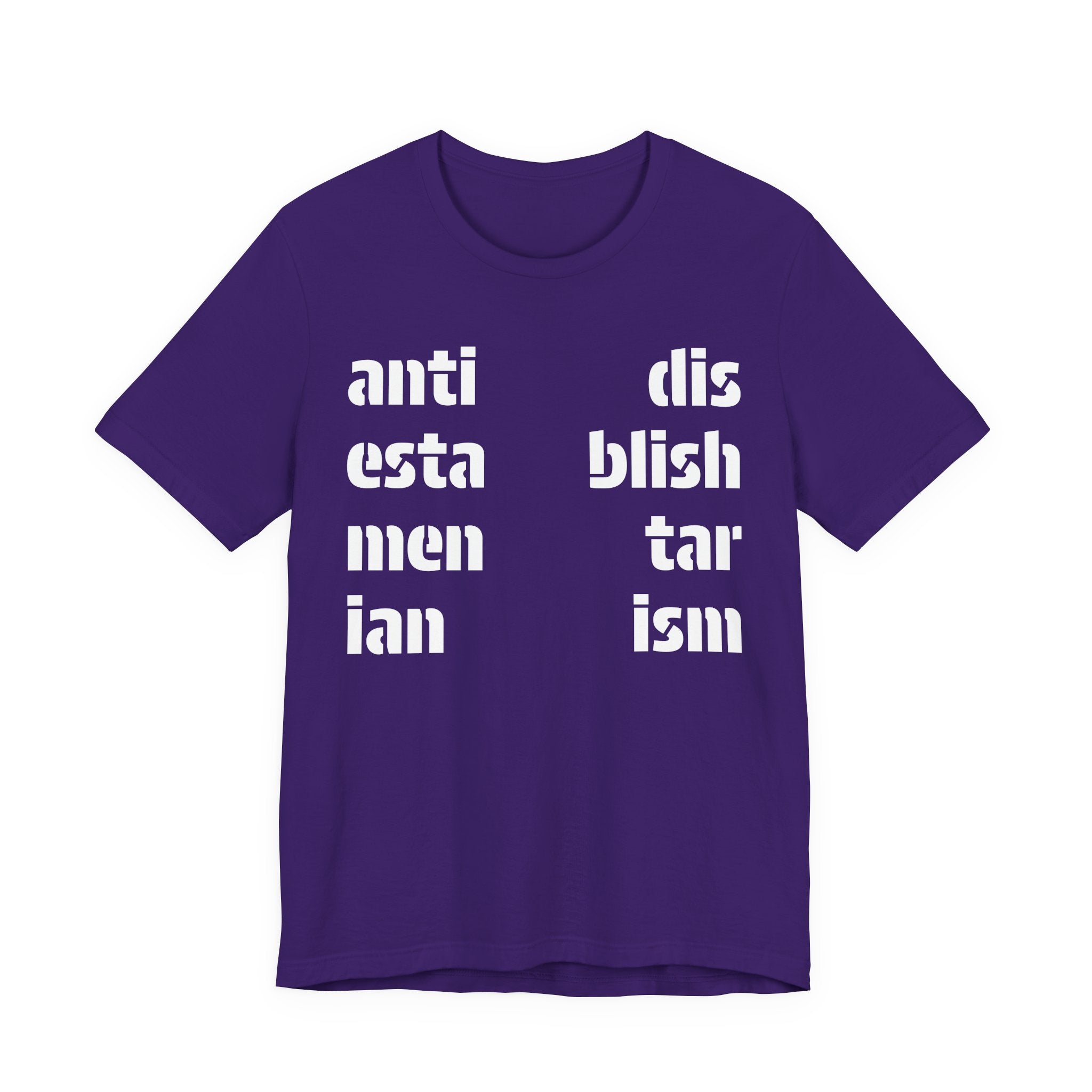 Antidisestablishmentarianism T-Shirt | Modern Typographic Grid Tee