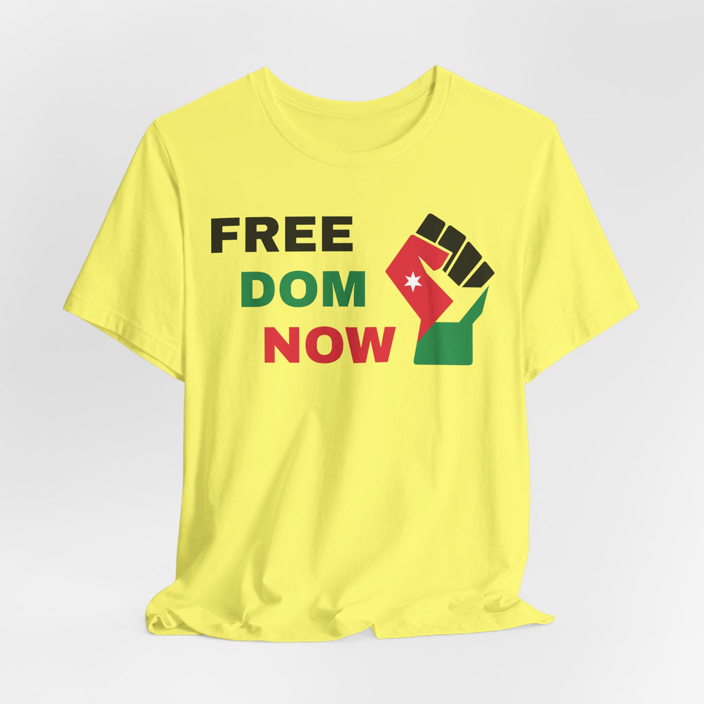 Freedom Now — Solidarity Fist Flag T-Shirt