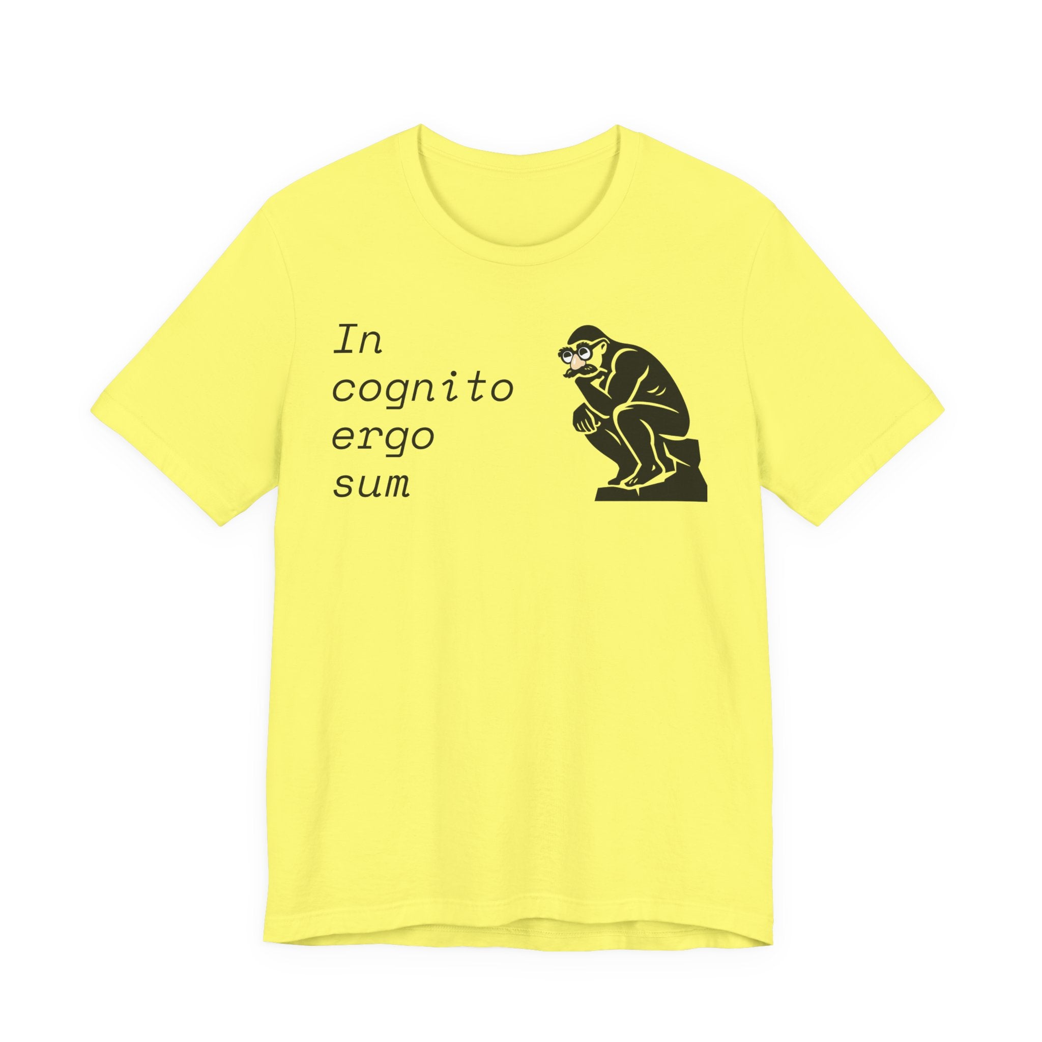 In Cognito Ergo Sum – Minimalist Philosophy T-Shirt