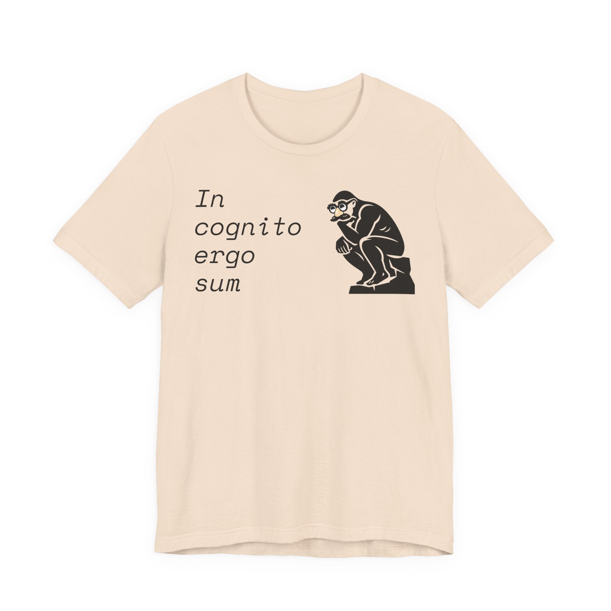 In Cognito Ergo Sum – Minimalist Philosophy T-Shirt