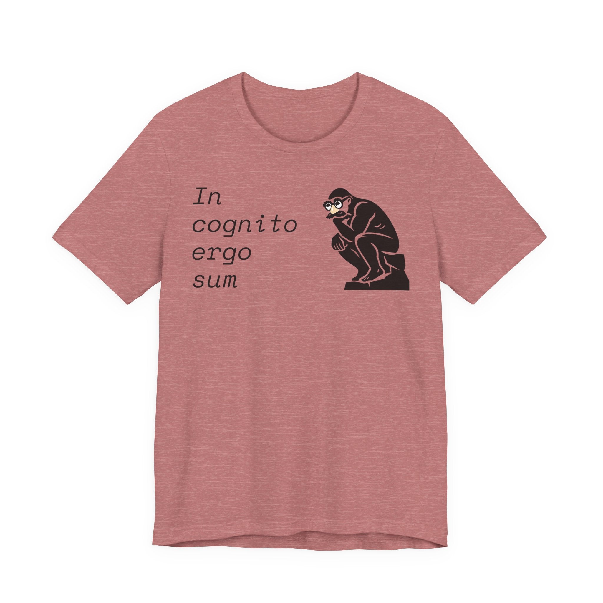 In Cognito Ergo Sum – Minimalist Philosophy T-Shirt