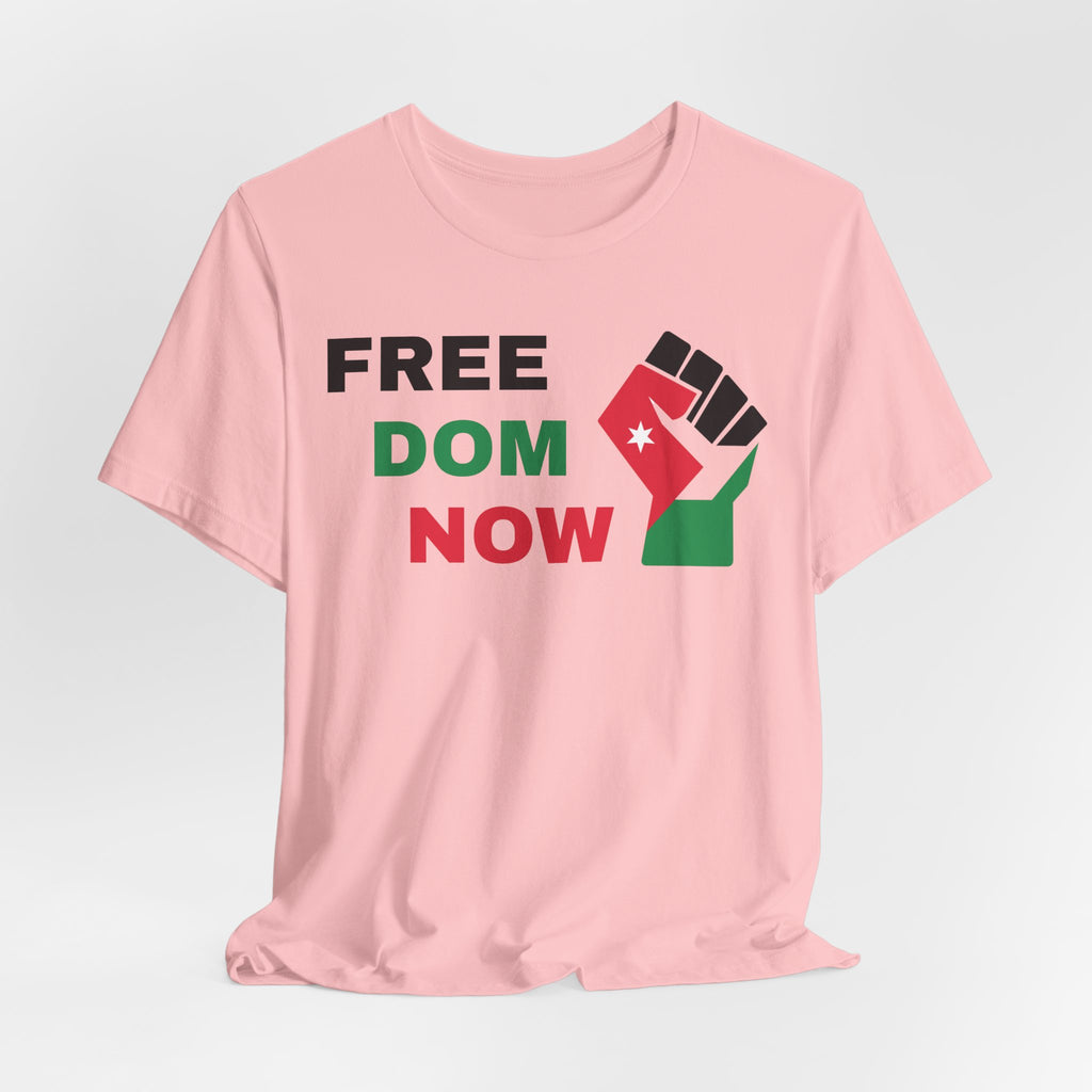 Freedom Now — Solidarity Fist Flag T-Shirt