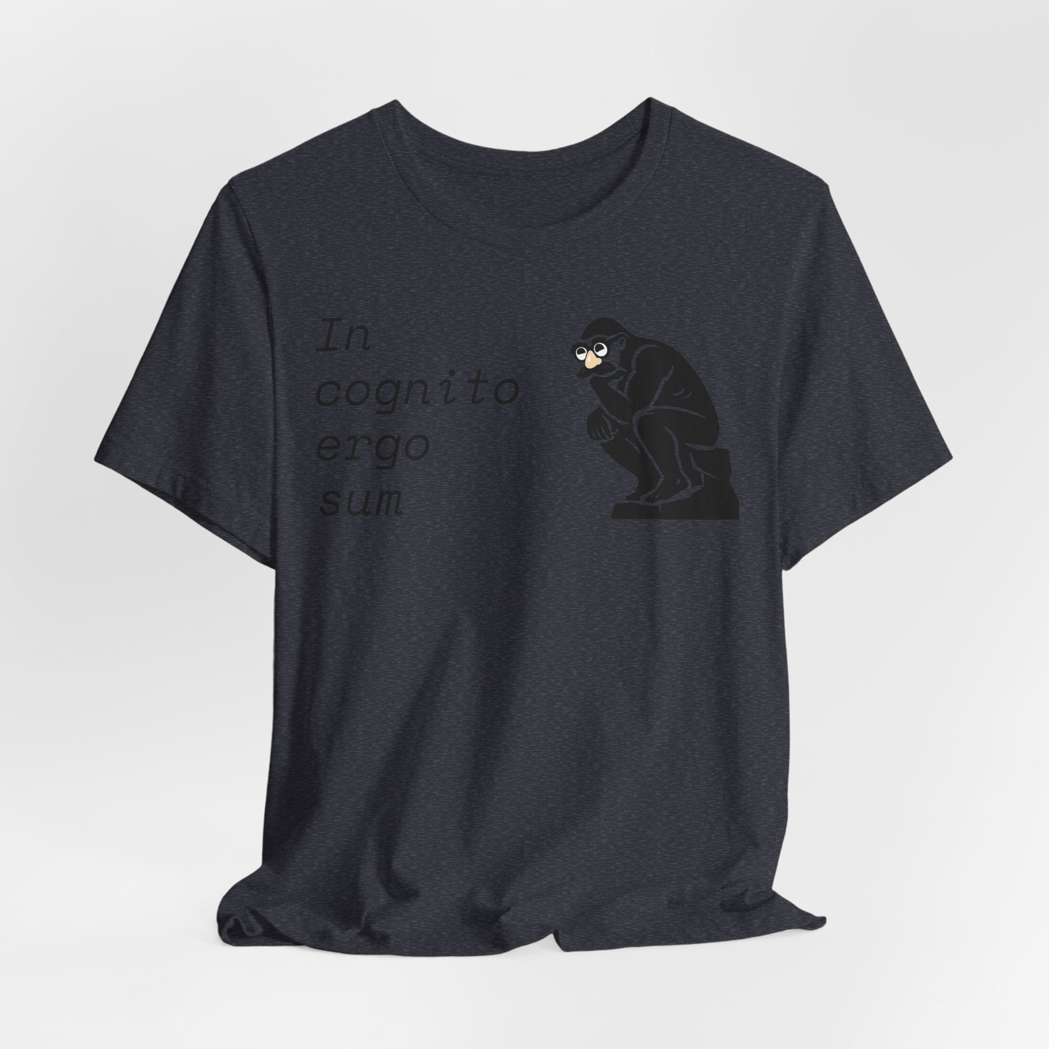 In Cognito Ergo Sum – Minimalist Philosophy T-Shirt