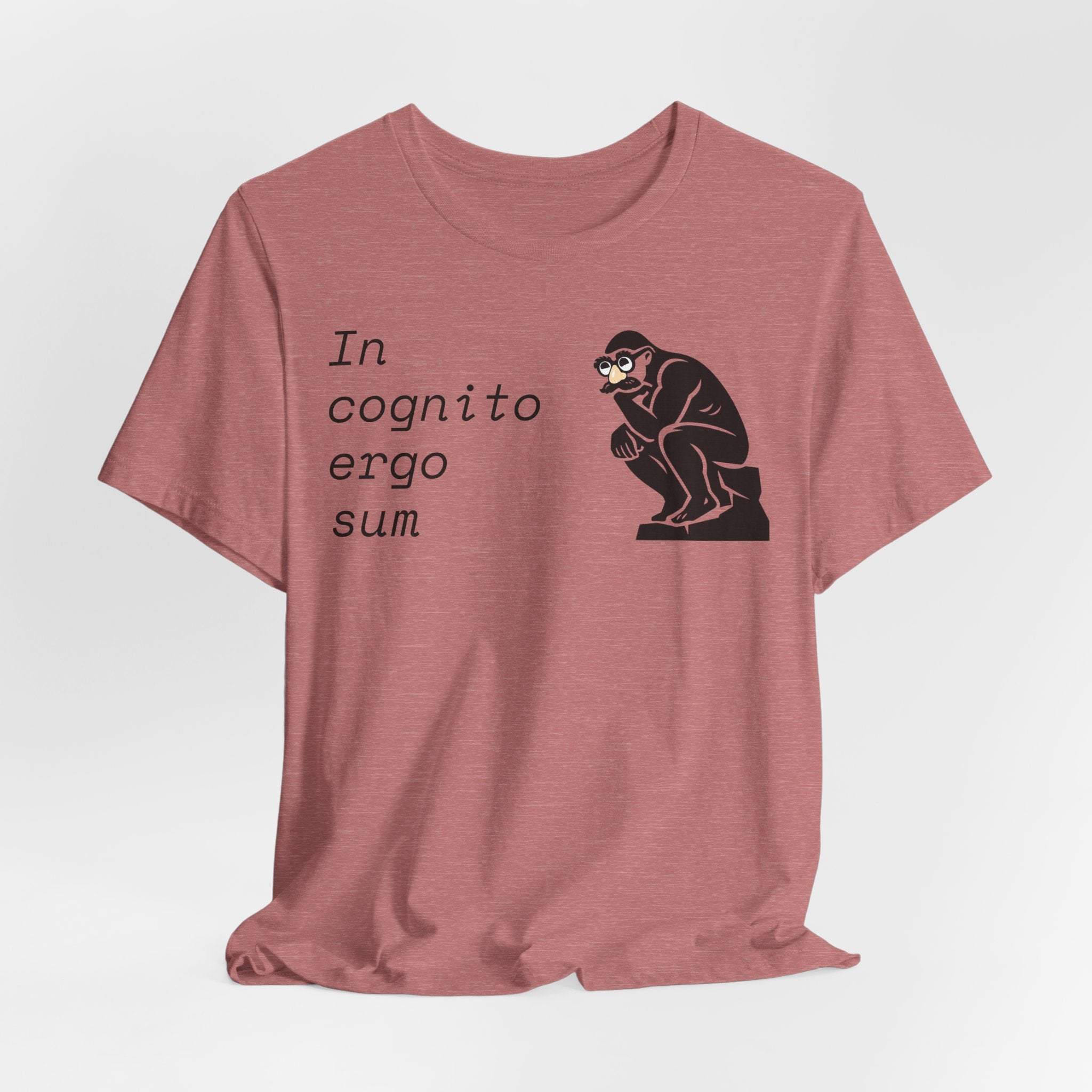 In Cognito Ergo Sum – Minimalist Philosophy T-Shirt