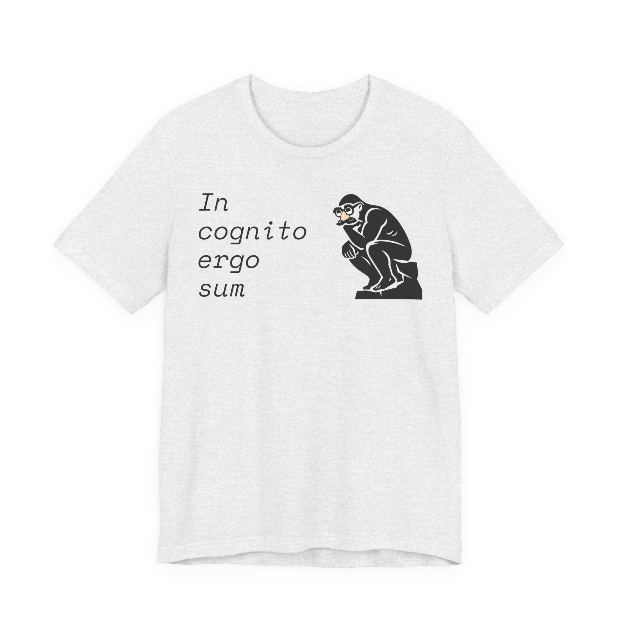 In Cognito Ergo Sum – Minimalist Philosophy T-Shirt