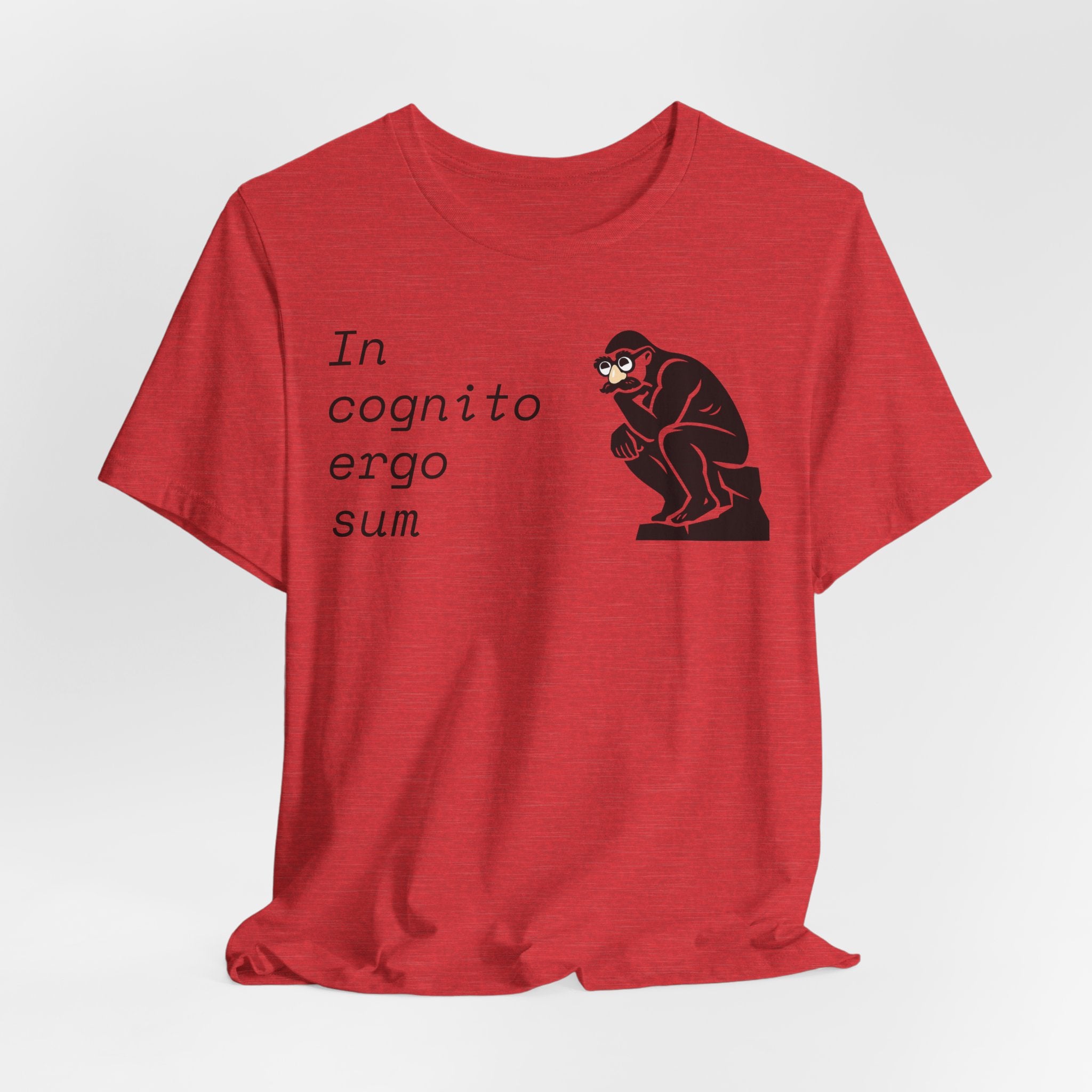In Cognito Ergo Sum – Minimalist Philosophy T-Shirt