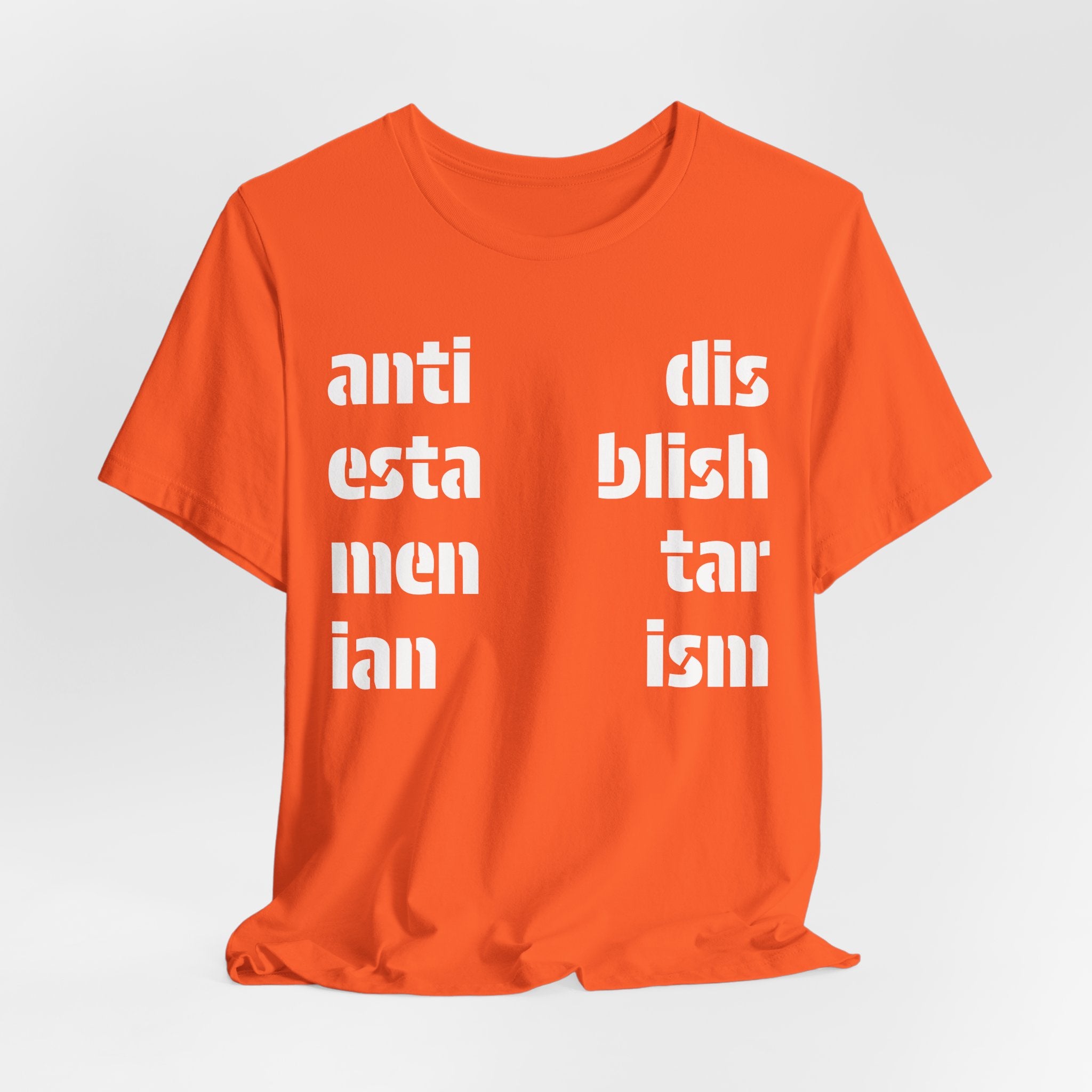 Antidisestablishmentarianism T-Shirt | Modern Typographic Grid Tee