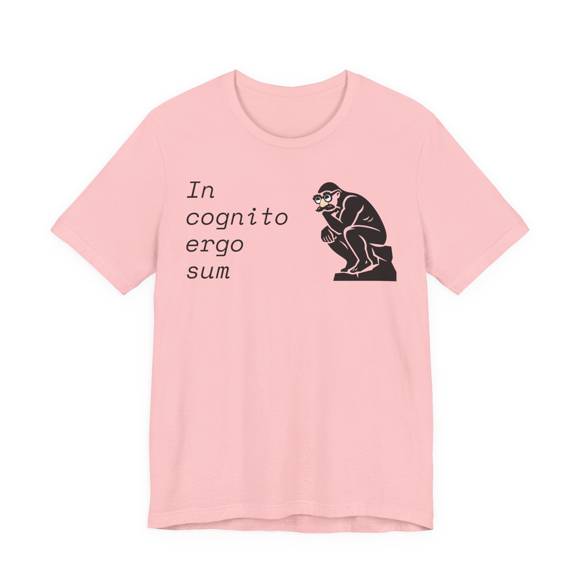 In Cognito Ergo Sum – Minimalist Philosophy T-Shirt