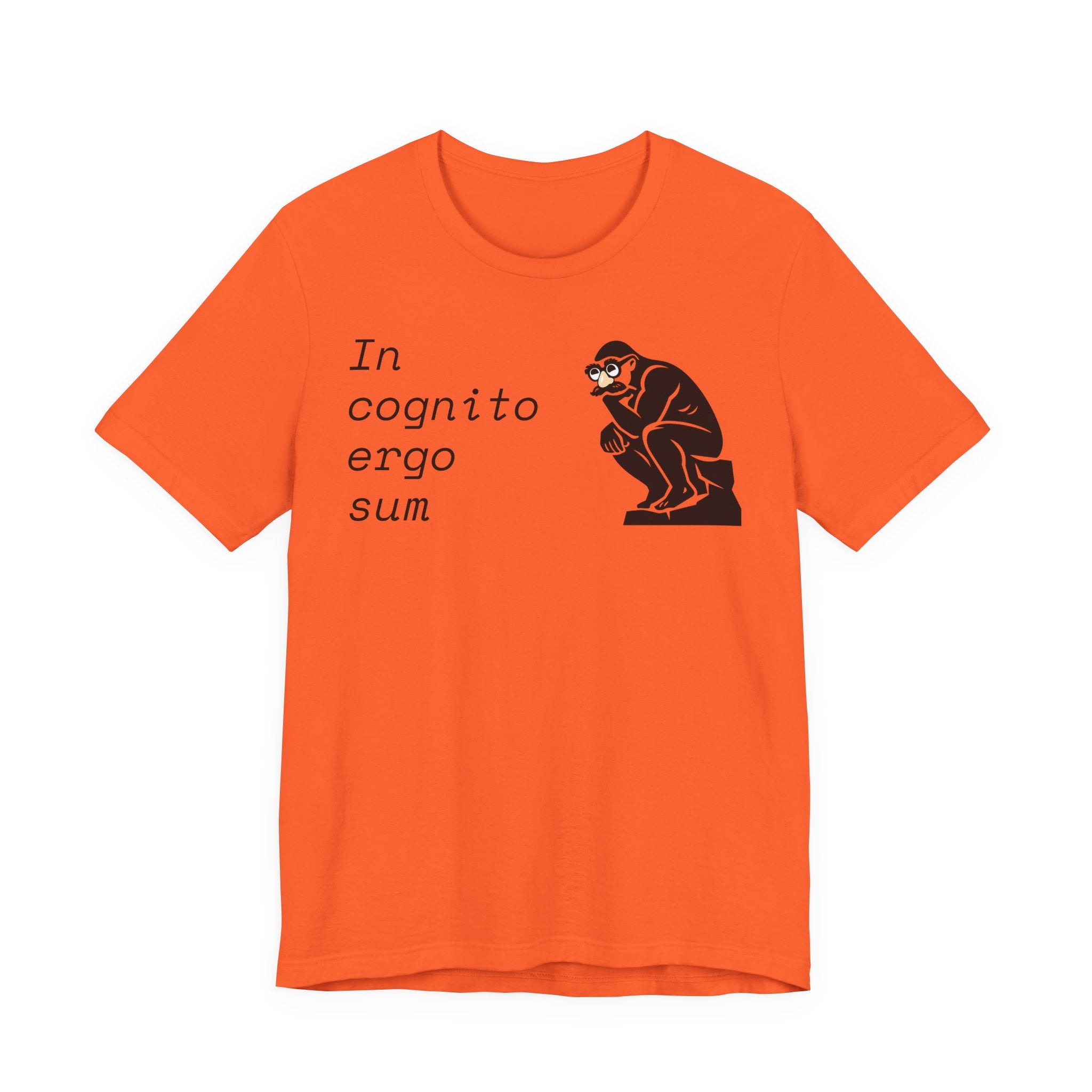 In Cognito Ergo Sum – Minimalist Philosophy T-Shirt