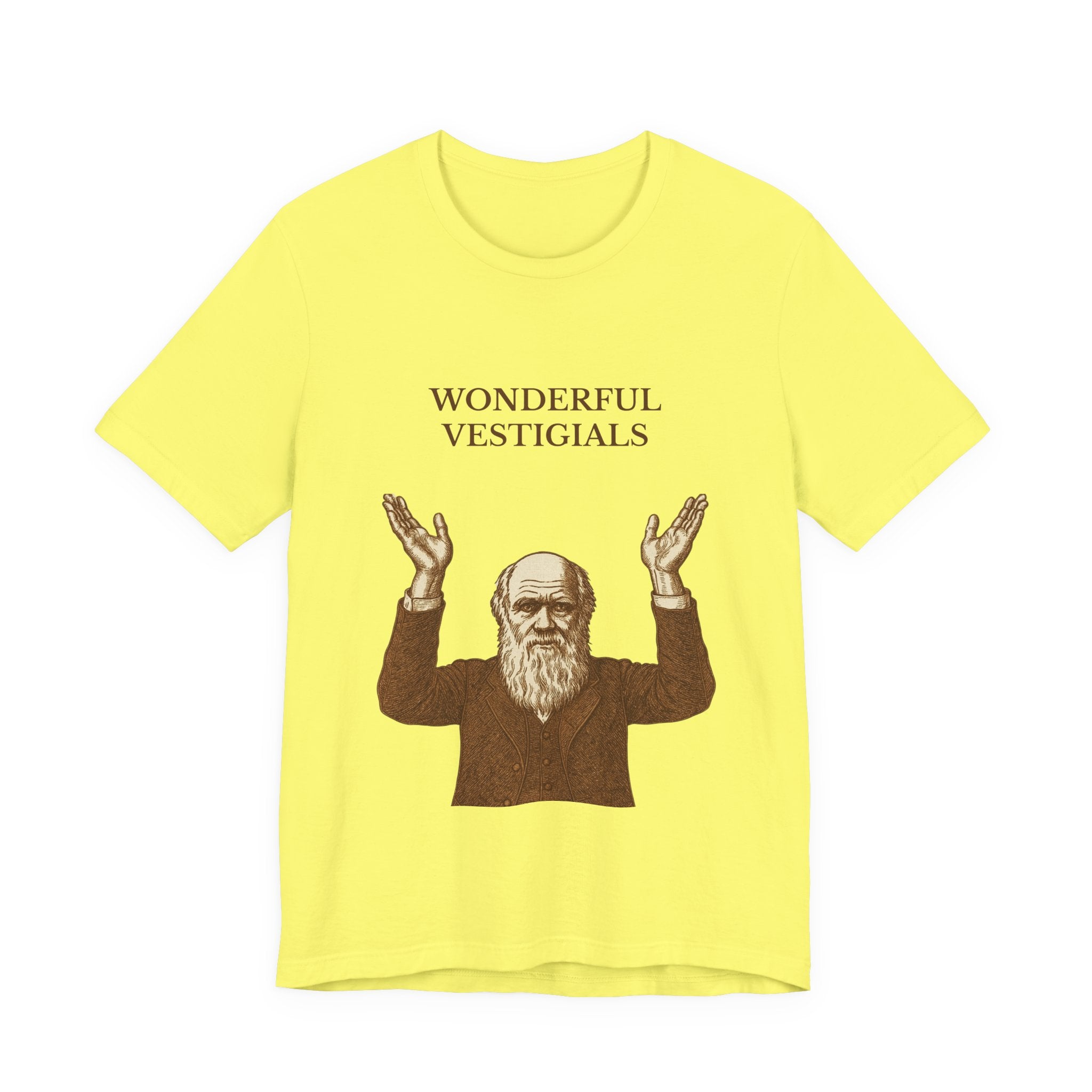 Wonderful Vestigials – Vintage Style Darwin Science Tee