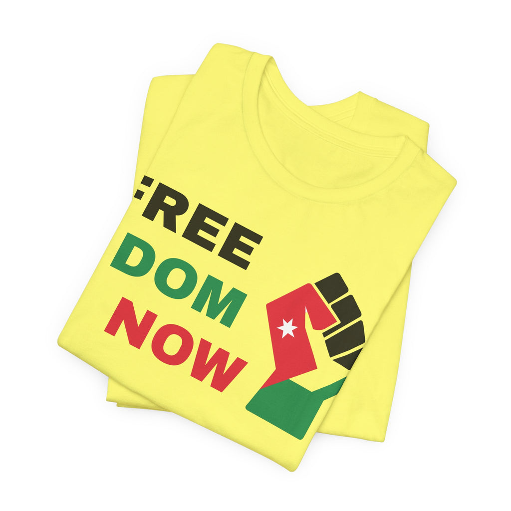 Freedom Now — Solidarity Fist Flag T-Shirt