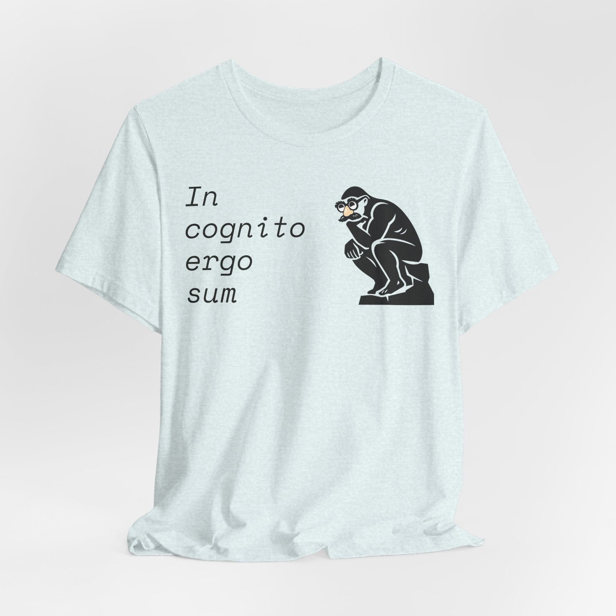 In Cognito Ergo Sum – Minimalist Philosophy T-Shirt