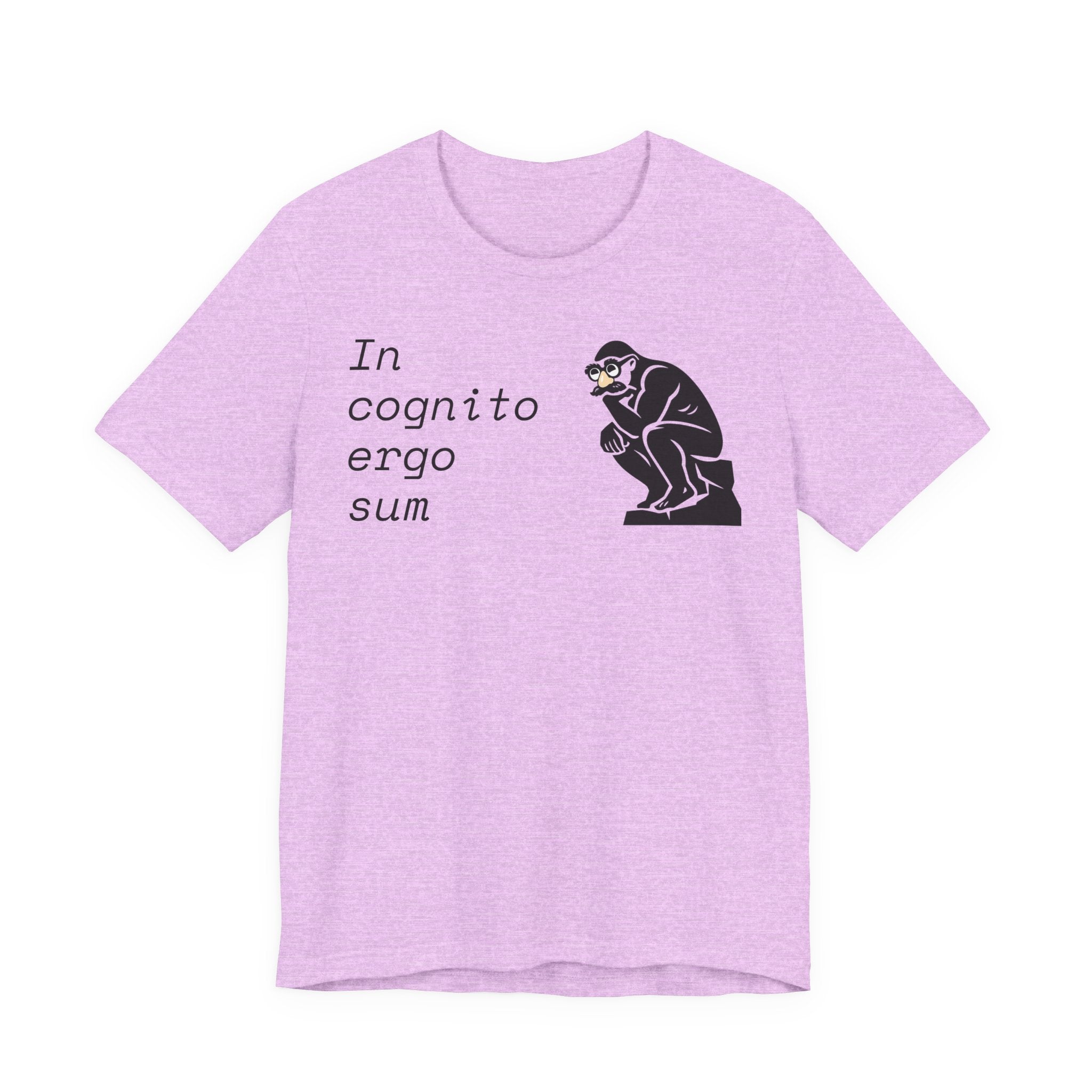 In Cognito Ergo Sum – Minimalist Philosophy T-Shirt