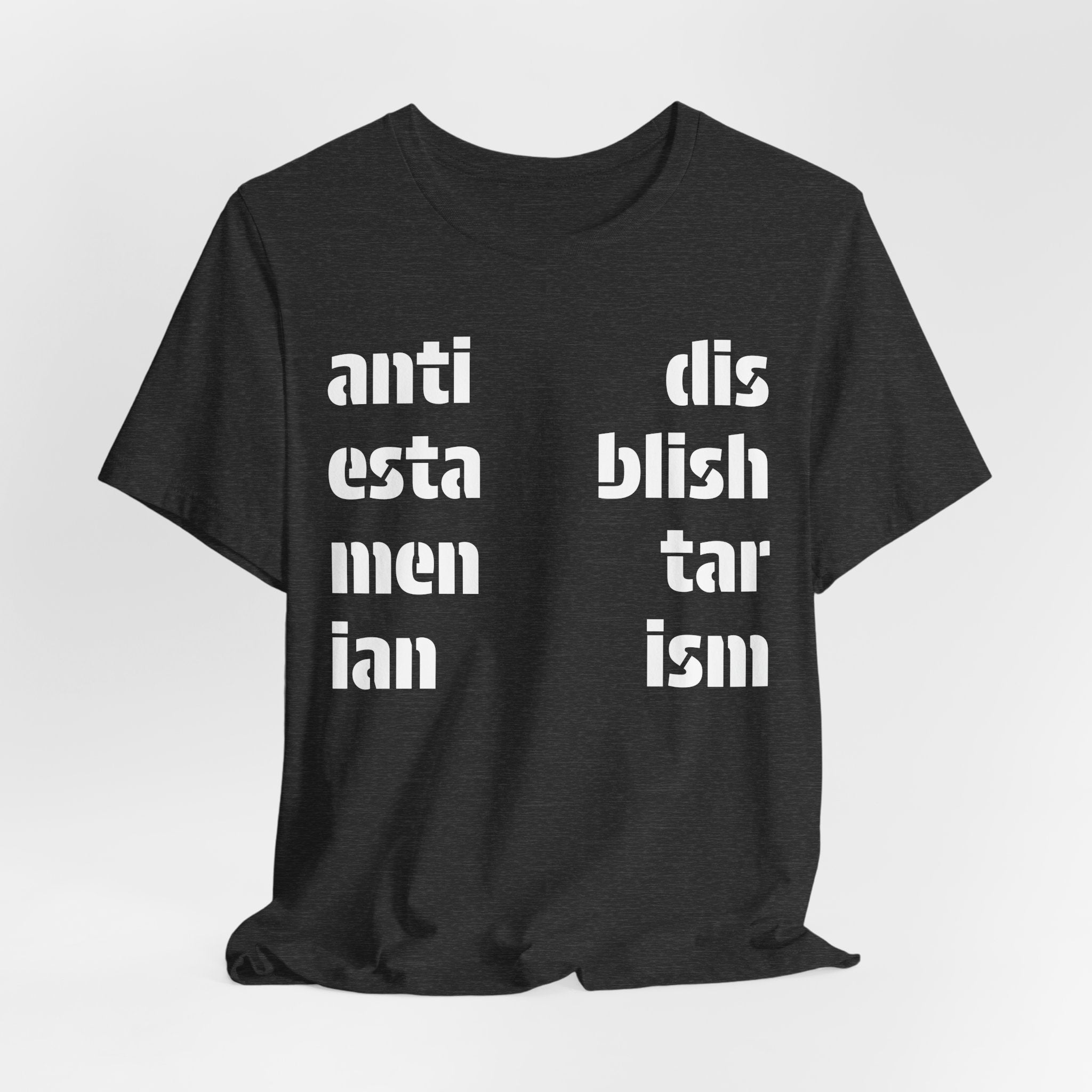 Antidisestablishmentarianism T-Shirt | Modern Typographic Grid Tee