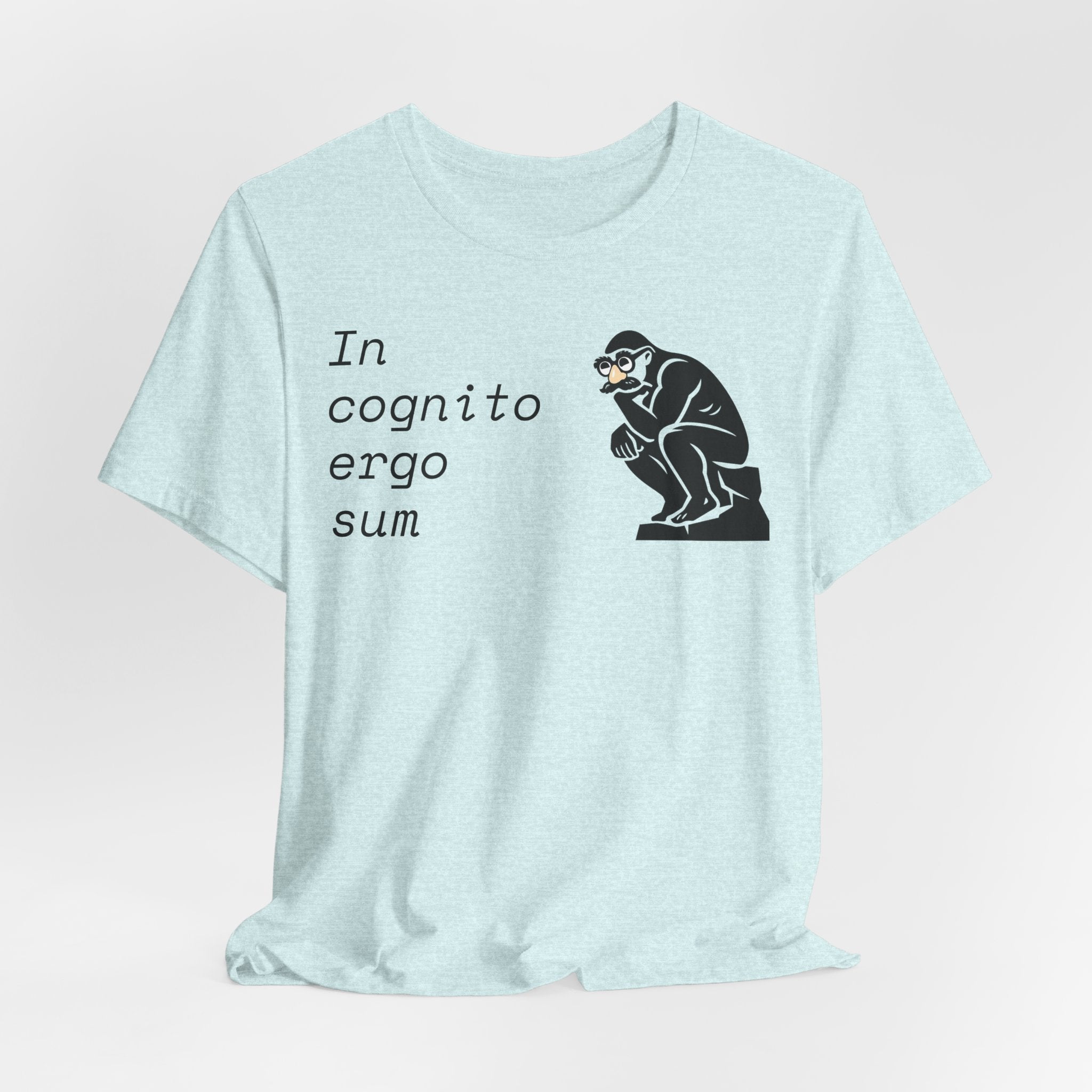 In Cognito Ergo Sum – Minimalist Philosophy T-Shirt
