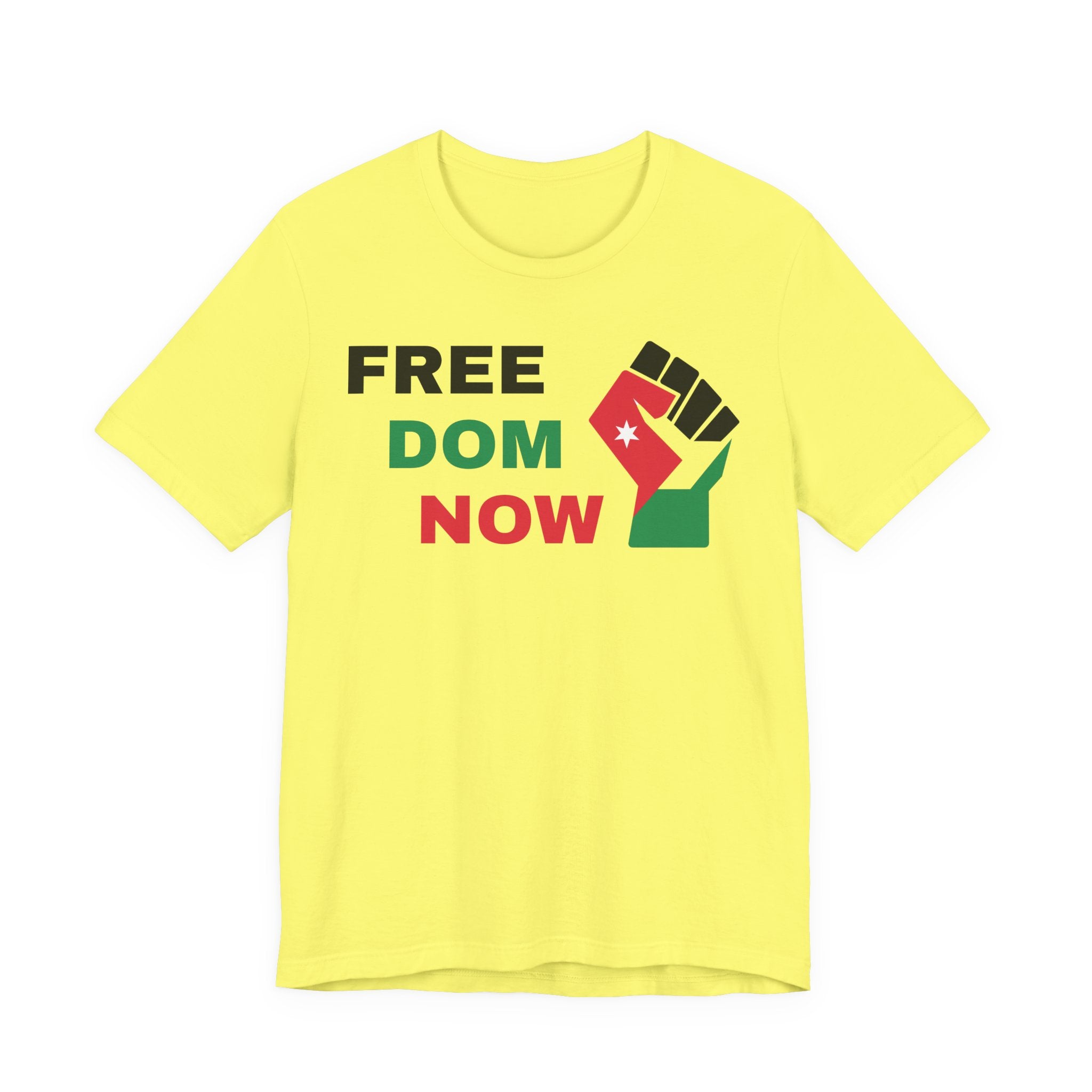 Freedom Now — Solidarity Fist Flag T-Shirt