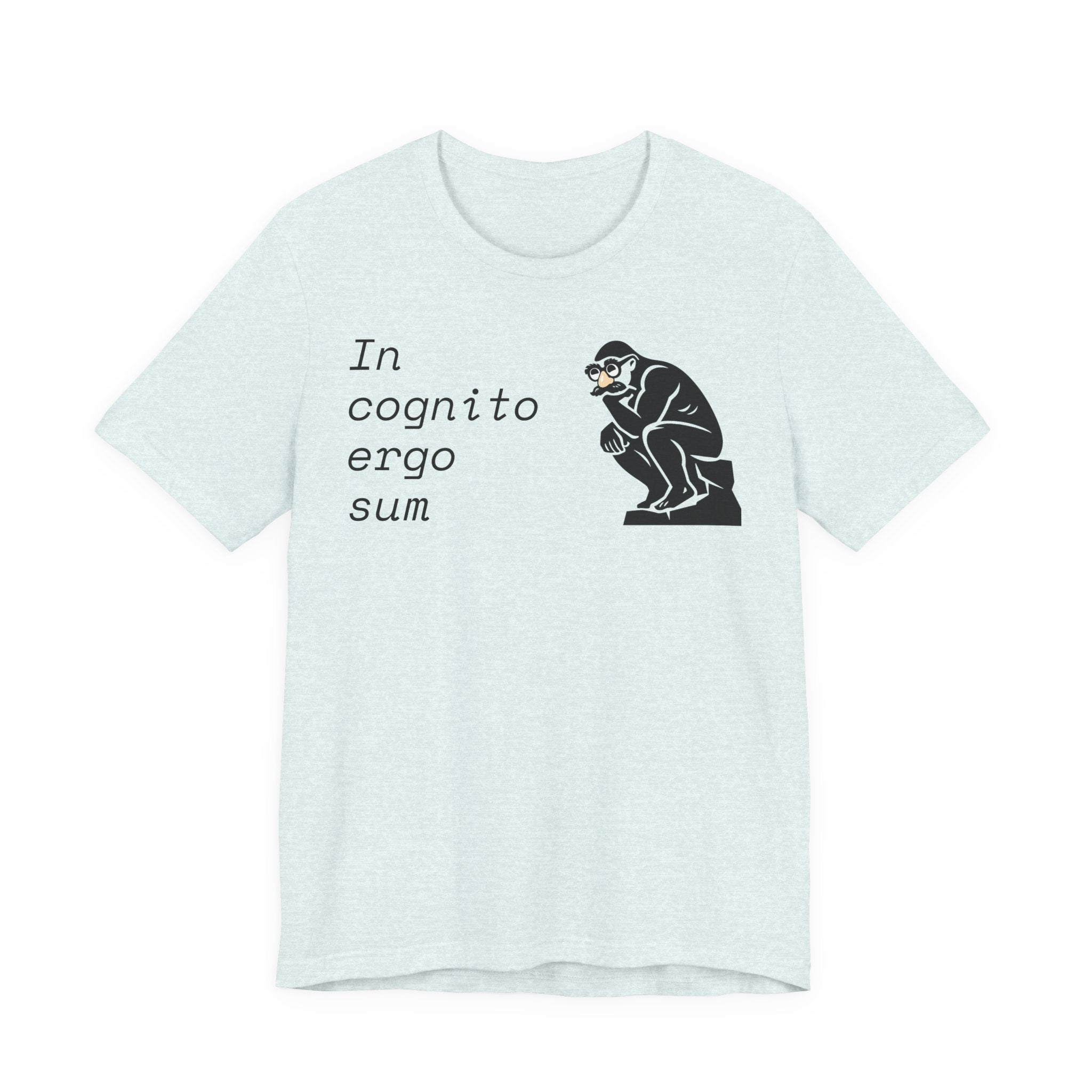In Cognito Ergo Sum – Minimalist Philosophy T-Shirt