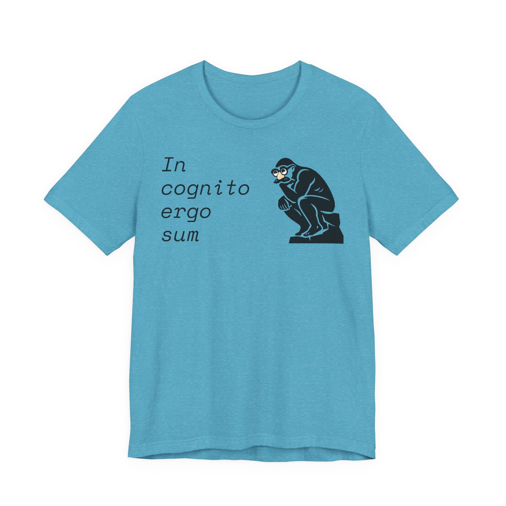 In Cognito Ergo Sum – Minimalist Philosophy T-Shirt