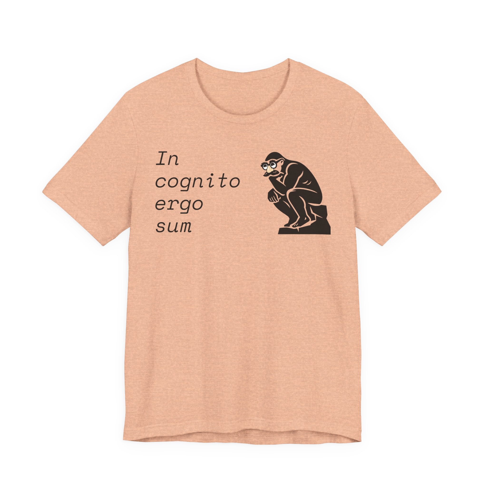 In Cognito Ergo Sum – Minimalist Philosophy T-Shirt