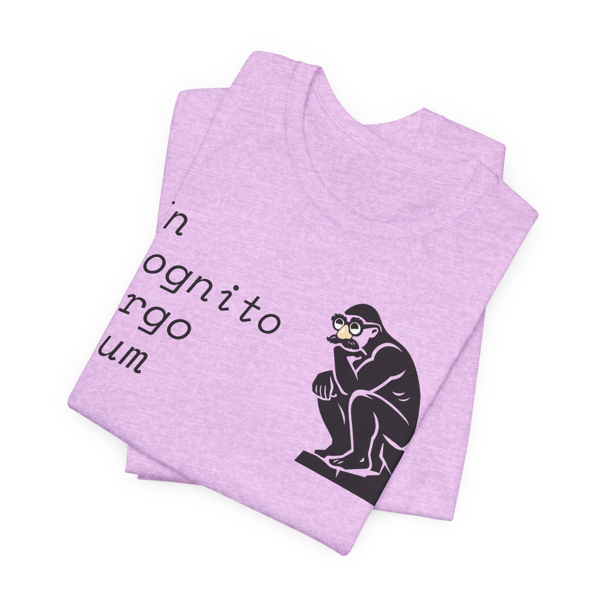 In Cognito Ergo Sum – Minimalist Philosophy T-Shirt